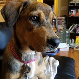 Meet your Posher, Heather